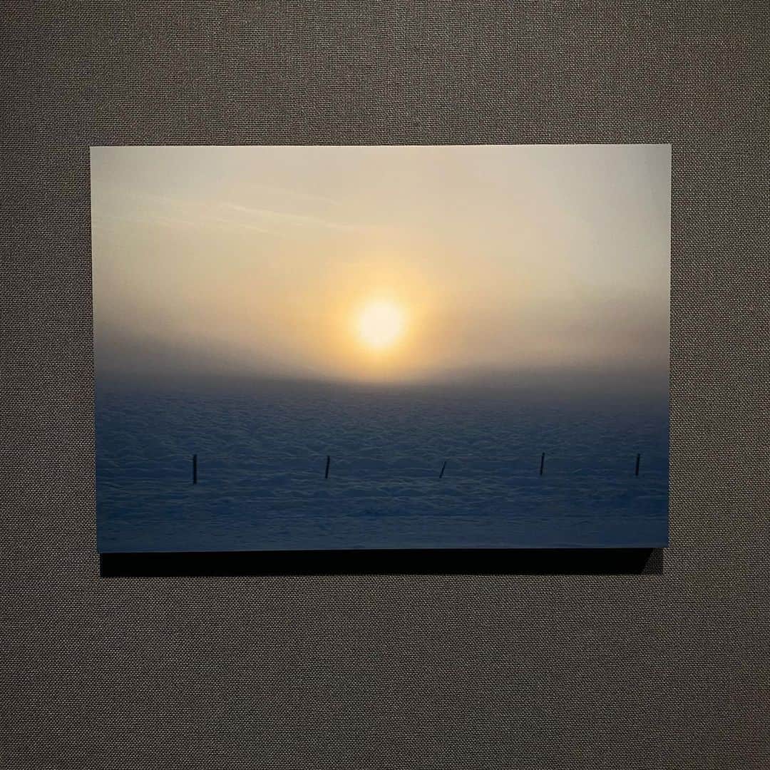 大島央照さんのインスタグラム写真 - (大島央照Instagram)「こんばんは^ - ^ 写真展が終わり、撮影の日々でした！ オンライン写真展をご覧くださった皆様、ありがとうございます✨引き続き、よろしくお願いします。  そして、2月19日（金）～2021年3月11日（木）まで、富士フイルム 企画写真展　WALL DECOR BY CREATORSに参加、富士フォトギャラリー銀座でも展示させていただいていた、WALL DECOR で作成した旅の風景写真を5点のみ展示させていただきます。  お部屋に飾っていただけるサイズで、簡単に壁にかけたり立てたりできます！実際に気楽にご覧いただき、ご購入できる機会なので、写真をもっと身近に感じていただけたら嬉しいです✨ お時間が合えば、是非いらしてください。  今の所、2月21日15時ー17時、27日13:00-14:00は在廊予定です。  また展示期間中はセール価格でお安くなっていますのでこの機会にぜひ。詳しくは、FLAGのSHOPをご覧ください✨✨  ----------------------------------------------------------  富士フイルム 企画写真展　WALL DECOR BY CREATORS （ウォールデコ　バイ　クリエイターズ）  ～写真家・クリエイター7人がおすすめする、お部屋を飾るウォールデコ～7人の写真家・クリエイターがWALL DECOR（ウォールデコ）で作成した作品を展示します。  WALL DECOR（ウォールデコ）とは、写真をパネルに加工して提供するサービスです。本展で展示される作品は、作家のWEBサイトからご購入いただくことができる他、会場でのご予約もお受けいたします。お気に入りの作品をみつけて、お部屋に飾って、「写真と、ちょっといい暮らし」を体験してみませんか。  開催期間	/ 2021年2月19日（金）～2021年3月11日（木） 開館時間	/ 10：00～19：00 （最終日は16：00まで／入館は終了10分前まで）会期中無休 会場	/ FUJIFILM SQUARE（フジフイルム スクエア）内、富士フイルムフォトサロン 東京　スペース3 入場料 / 無料 ※ 企業メセナとして実施しており、より多くの方に楽しんでいただくために入館無料にしております。 主催	/ 富士フイルム株式会社  ----------------------------------------------------------  お待ちしております！☺️  ※インスタの写真は、富士フォトサロン銀座で展示をしたウォールデコです。2つ目はかわいい @yoshimimama ファミリー✨今回はアイスランド他、ギリシャなど、旅の写真を数点展示しています。  #WALLDECOR #FUJIFILM SQUARE #フジフイルムスクエア #富士フイルムフォトサロン東京　#富士フイルム株式会社 #写真 # プリント #写真を飾る #カメラ #カメラ女子 #photo #photography #photographer #撮影 #旅 #アイスランド #iceland #ギリシャ #greek #sea #海」2月17日 23時50分 - chiakioshima
