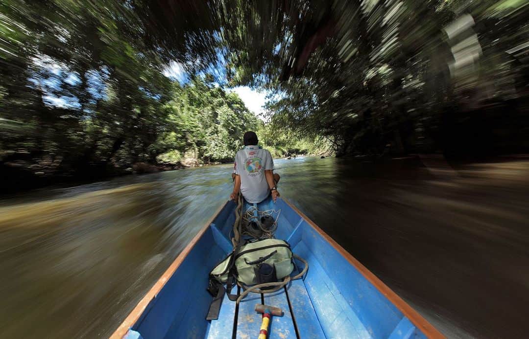 National Geographic Travelさんのインスタグラム写真 - (National Geographic TravelInstagram)「Photos by Robbie Shone @shonephoto / In Gunung Mulu National Park, Borneo, the normal way to travel is by foot or boat. There are no cars allowed in the park. For our expedition, we mostly began and ended our day traveling up and down the Melinau River in a longboat to reach the caves. The feeling of wind rushing by, with the sounds and sights of tropical birds flying way up high, is really amazing. It’s such a special way to travel.」2月18日 0時38分 - natgeotravel