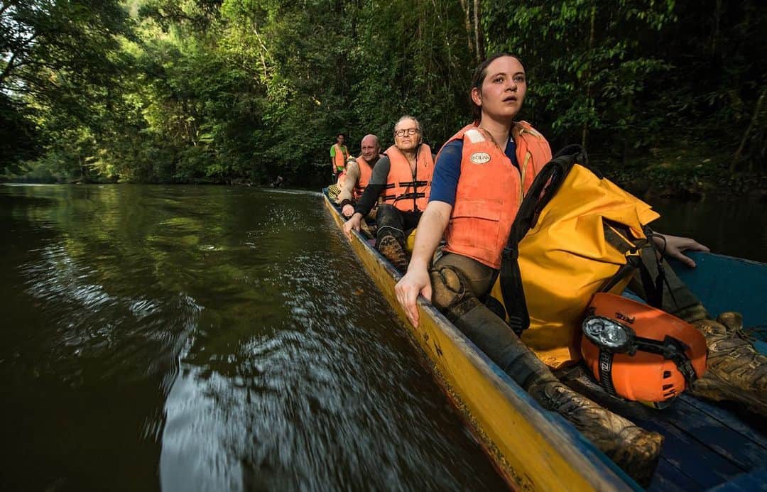 National Geographic Travelさんのインスタグラム写真 - (National Geographic TravelInstagram)「Photos by Robbie Shone @shonephoto / In Gunung Mulu National Park, Borneo, the normal way to travel is by foot or boat. There are no cars allowed in the park. For our expedition, we mostly began and ended our day traveling up and down the Melinau River in a longboat to reach the caves. The feeling of wind rushing by, with the sounds and sights of tropical birds flying way up high, is really amazing. It’s such a special way to travel.」2月18日 0時38分 - natgeotravel