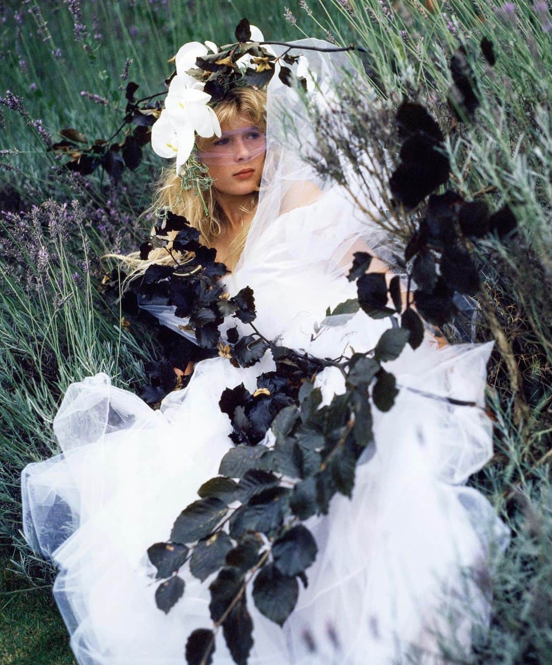 ブルース・ウェーバーのインスタグラム：「Elizabeth in garden, Kent, England 1984 for @britishvogue.」