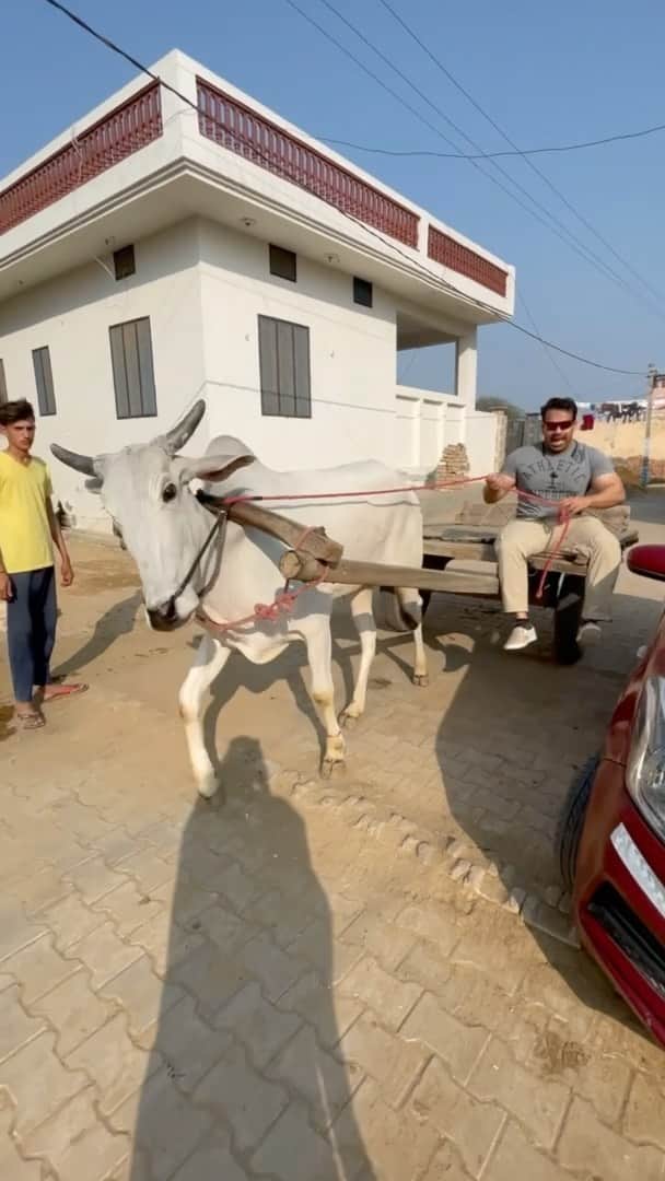 Gaurav Tanejaのインスタグラム：「Koi nahi #SehLengeThoda Kabhi kabhi kat bhi jaata hai.. #FlyingBeast」