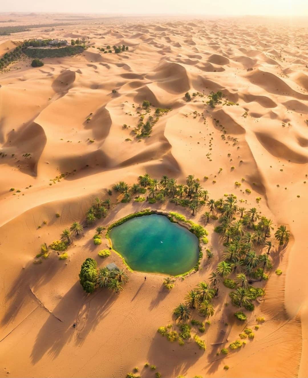 Earth Picsさんのインスタグラム写真 - (Earth PicsInstagram)「A hidden oasis in Abu Dhabi 🏝  📷 @100.pixels」2月18日 1時01分 - earthpix