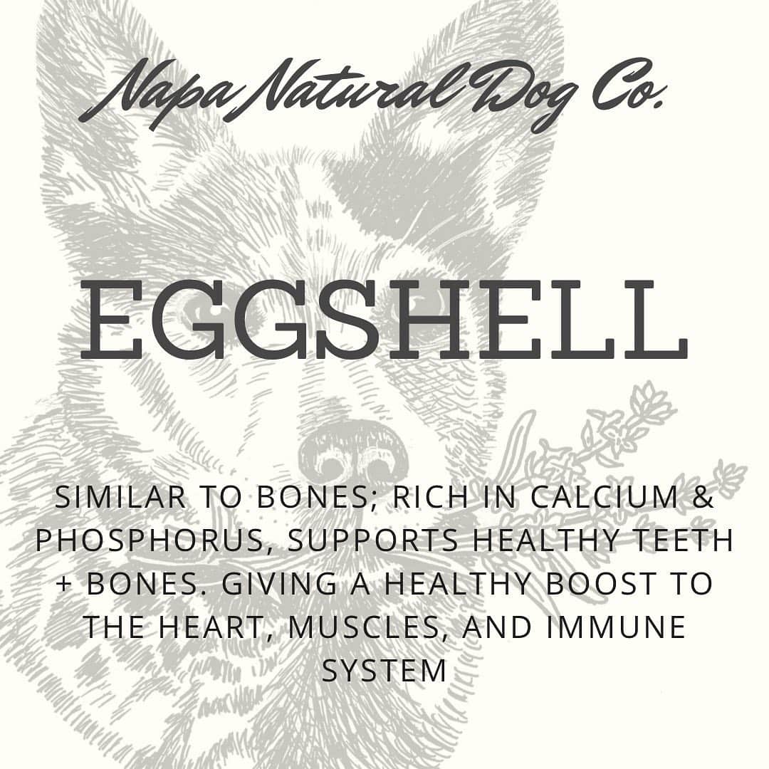 Dogs by Ginaのインスタグラム：「Paws up for raw eggs🐾   Did you know all the benefits to feeding raw eggs? Just look at whats in the shell alone.   Pro tip- my dog wont eat the shell unless its crushed into smaller pieces.」