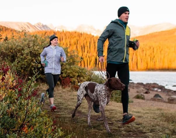 REIのインスタグラム：「Your pup just might be the perfect running partner. Click the link in our bio to learn about gear, tips and trail etiquette to get started trail running with your four-legged friend. 🐶」