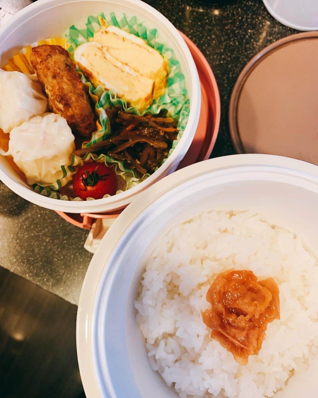 川谷修士さんのインスタグラム写真 - (川谷修士Instagram)「久しぶりに2日間お弁当 間違い探しみたいになってるかい。 毎日の弁当ってそんな事もあらーね。 #パパ作る #お弁当」2月18日 2時11分 - 2chokenju_shuji