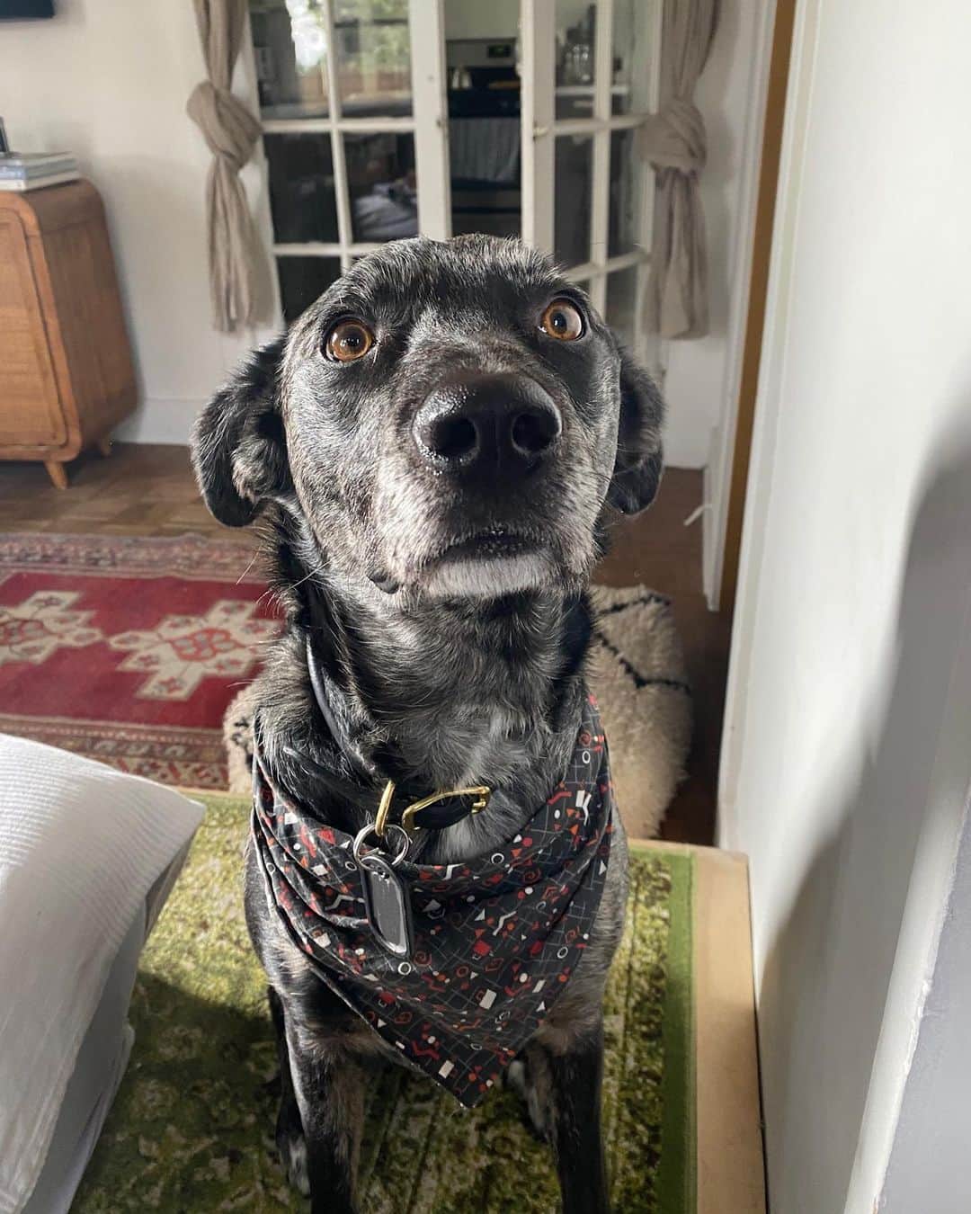 のインスタグラム：「How can I say no to a face like this」
