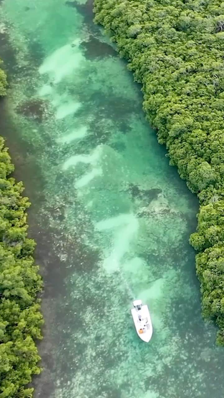 Costa Sunglassesのインスタグラム：「The 2021 @flyfishingfilmtour stoke reel is here. Tune in between March 10th - April 4 for unforgettable storytelling, camaraderie and a film selection that will inspire, feed your fishing addiction and build awareness for conservation efforts around the world. Learn more at the link in our bio. #SeeWhatsOutThere」