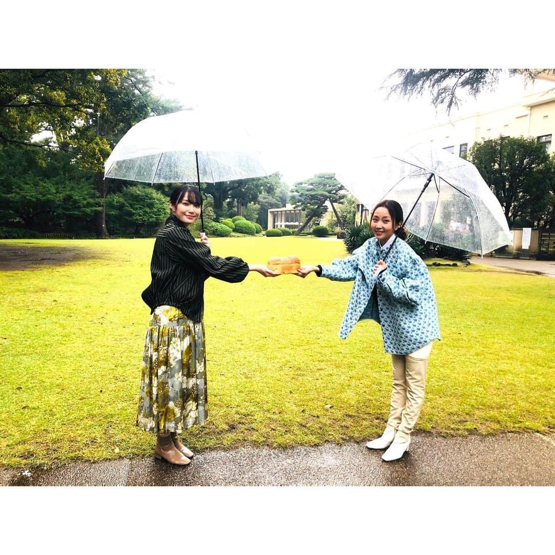 木南晴夏さんのインスタグラム写真 - (木南晴夏Instagram)「明日の #パン旅。は 美村里江さんと 高輪・白金のパン屋さんを巡ってきました。 あいにくの雨でしたが 東京都庭園美術館にも行けて ワクワクが止まらない旅でした☂️  よる7時〜 NHKBSプレミアムにて 今週ラストです。 お見逃しなく🍞」3月4日 21時55分 - kinamitopan