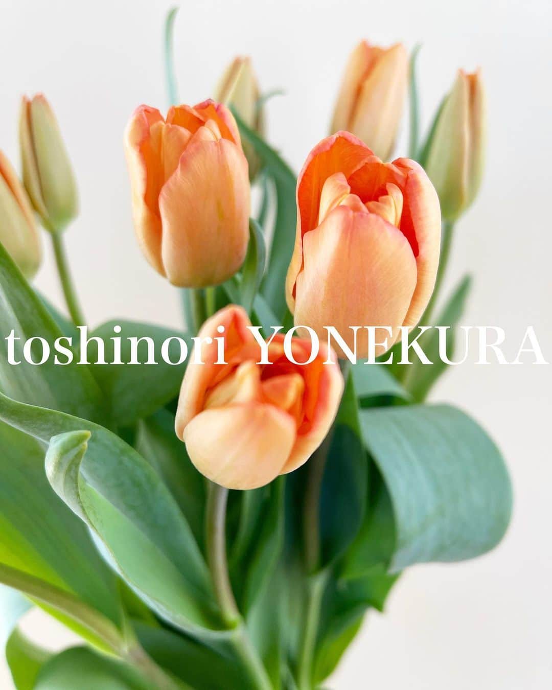 米倉利紀さんのインスタグラム写真 - (米倉利紀Instagram)「flowers of this week #男花 #花のある生活」3月4日 22時07分 - toshi_yonekura