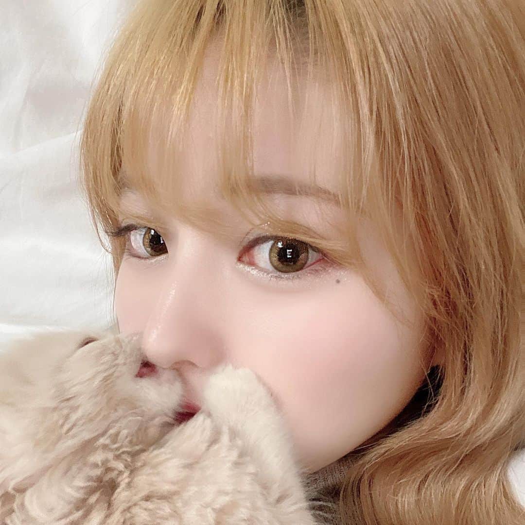 sarimaru(国木田さりまる)のインスタグラム：「私の鼻が大好きなネチコヤン カジカジしながら吸ってくる🐈🍼」