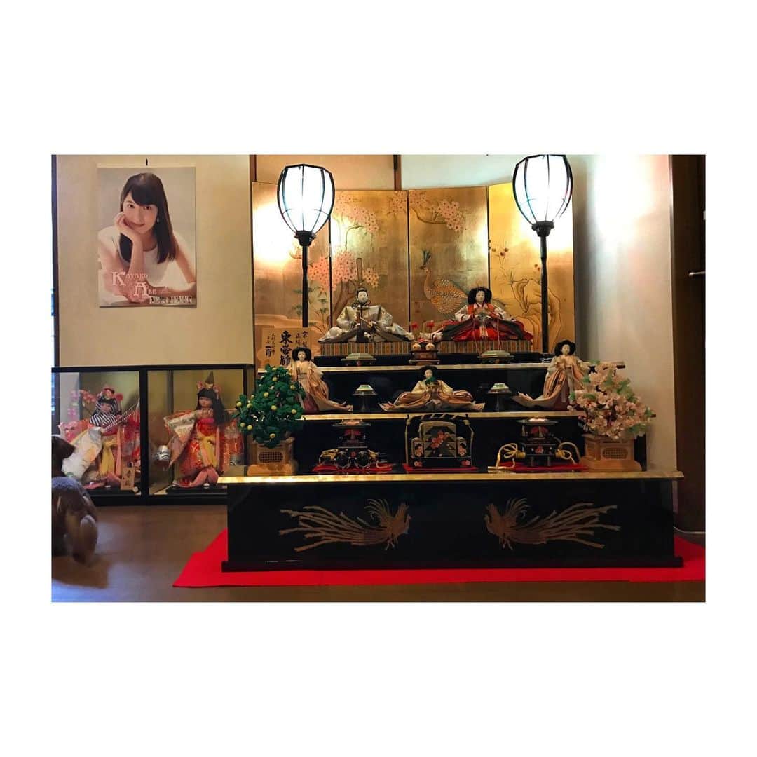 のインスタグラム：「🎎  1日過ぎちゃったけど！  昨日はひなまつり！笑  （ゆーみんさんは ひなまつり婚だそう💕）  私が上京してからも 実家は毎年飾ってくれています🥰  「写真送ってー」と両親に頼んだら  私のカレンダーは写るわ、 （しかも何年か前のやつ。） （せめて表紙じゃなくてめくってくれ。）  愛犬の後ろ姿が写るわ、、、  全然ばえない感じで送られてきたw  けどなんだか両親の愛を感じました☺️  #そんなことより #ひなまつり婚 #永島さんおめでとうございます㊗️ #2回目w」