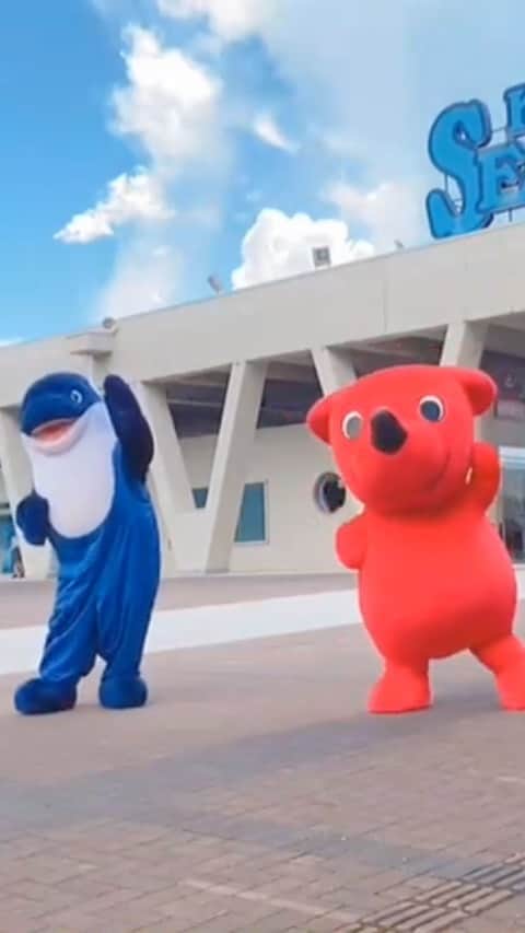 のインスタグラム：「鴨川シーワールドで踊ってみたよ！ オルタン！ダンスが本当に上手なんだよ〜♫ #鴨川シーワールド #オルタン #夢見るチーバくん #ダンス踊ってみた #2020.夏　撮影」