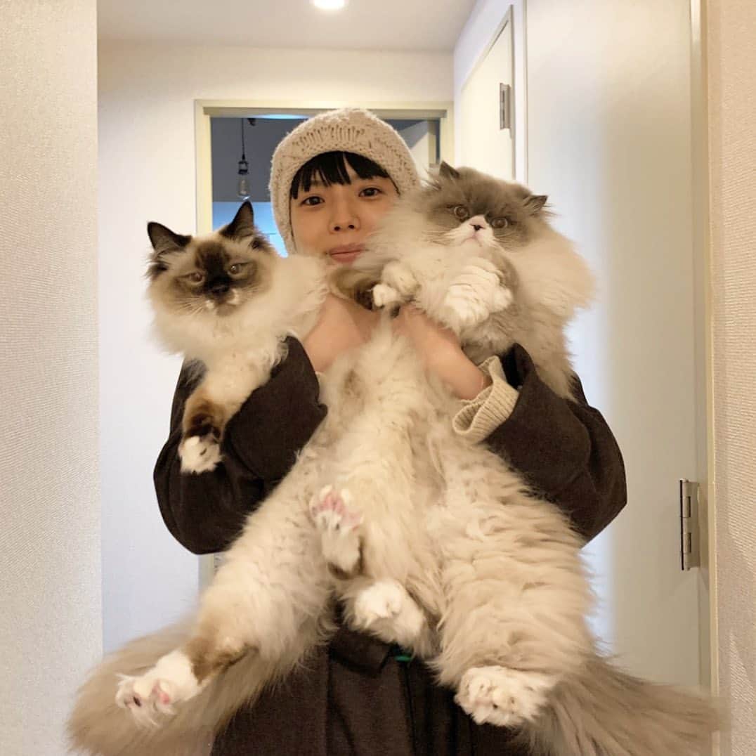 カネコアヤノのインスタグラム：「👩‍👧‍👧」