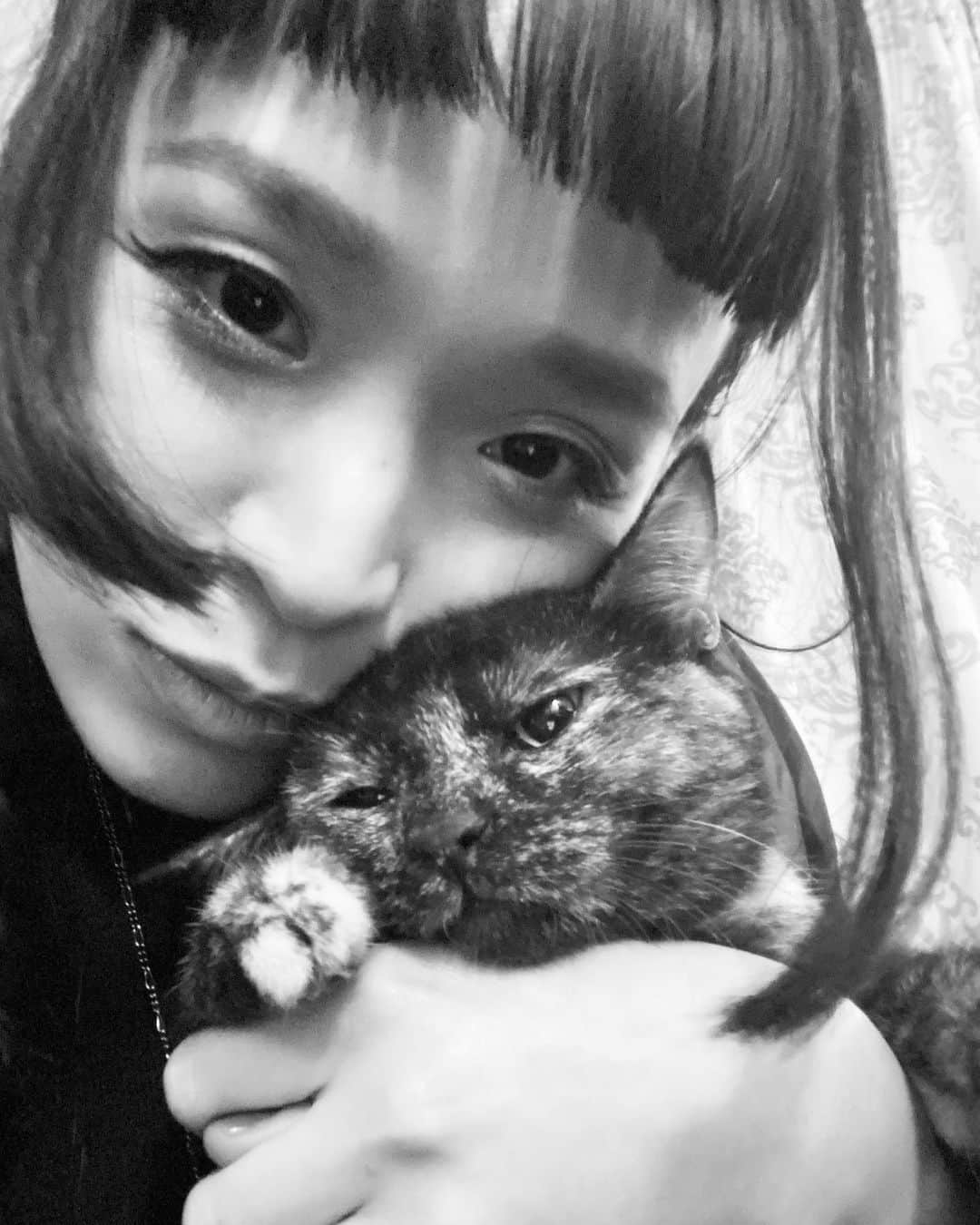 小春さんのインスタグラム写真 - (小春Instagram)「迷惑そうだけどアンちゃん優しいから やってしまう  #小春のアンニュイ」3月4日 16時01分 - suttokodokkoiii