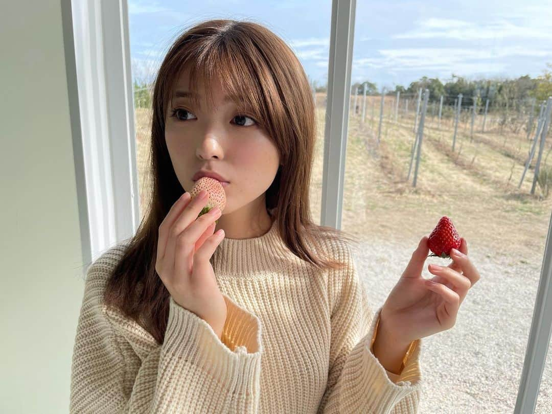 工藤美桜さんのインスタグラム写真 - (工藤美桜Instagram)「今日の現場でいちごを差し入れしていただいたのでぱくぱく。 美味しい…🍓 #ありがとうございます　⠀ #白ってレアですよね　⠀ #もちろん赤いのもおいしすぎました　⠀」3月4日 16時45分 - mmio_kudo