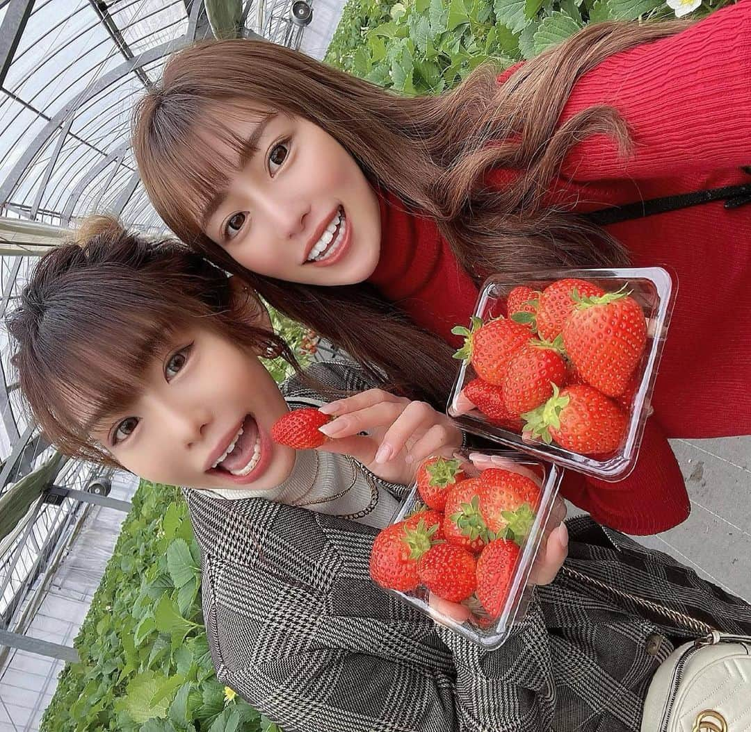 MANAMIのインスタグラム：「. いちご狩り🍓#うららか農園」