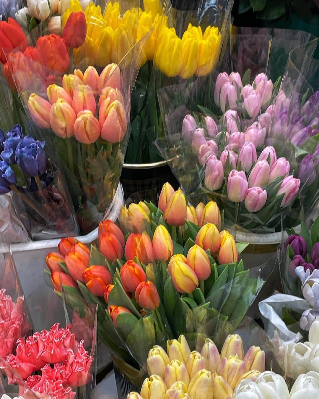 ホン・ヨンギさんのインスタグラム写真 - (ホン・ヨンギInstagram)「처음가본 #양재꽃시장 펜트하우스에서만 봤지 실제로 올 줄이야..✨ 제가 좋아하는 튤립으로 직접 꽃 송이송이 골라서 꽃다발 만들었어요..💛」3月4日 18時58分 - kisy0729