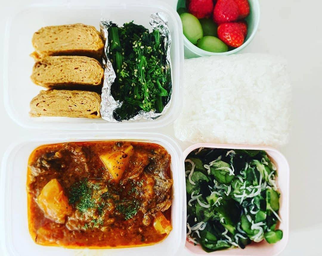 熊田曜子さんのインスタグラム写真 - (熊田曜子Instagram)「I put a lunch box for those who live alone.  差し入れ🍱 味が濃いめになっちゃった😓  #ビーフシチュー　#だし巻き玉子　#菜の花のおひたし　#わかめときゅうりとじゃこのサラダ　#白米　#冷凍用　#いちご　#マスカット　#一人暮らし」3月4日 21時20分 - kumadayoko