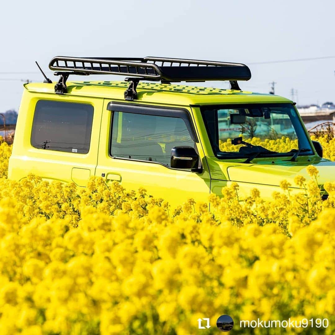 カメラのキタムラのインスタグラム：「#Repost @mokumoku9190 • • • • • • おはようございます(^-^) 本日は菜の花とジムニーをpost✨✨ ・ 今日も一日頑張りましょうね(o^^o) ・ ・ #菜の花畑 #新型ジムニー #jimny_owners_club #カメラ好きな人と繋がりたい #カメラが好きな人と繋がりたい #はなまっぷ #花が好きな人と繋がりたい #花好きな人と繋がりたい #写真撮ってる人と繋がりたい #写真好きな人と繋がりたい #菜の花 #黄色 #東京カメラ部 #キタムラ写真投稿 #ボケフォトファン #花撮り隊 #花撮り人 #ザ花部 #花フレンド #ジムニーjb64 #ジムニージャパン #ジムニー乗りと繋がりたい #ジムニーライフ #igscflowers #ジムニー男子 #花好き #my_eos_photo #サンセットスタジオtv #ビタミンカラー」