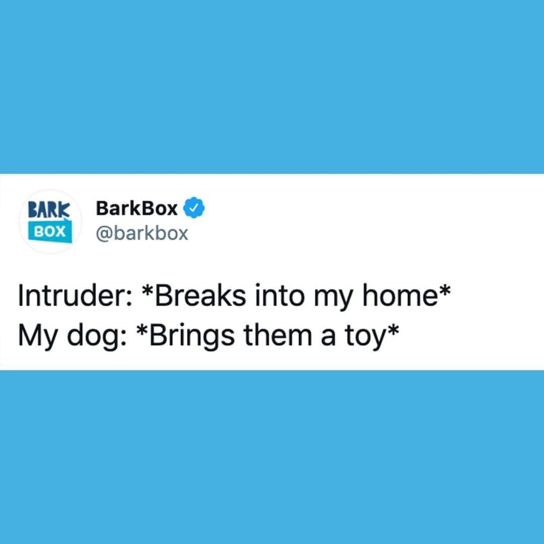 BarkBoxのインスタグラム：「he's just very polite 🐶」