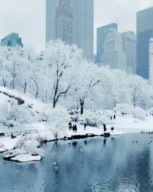 The Cool Hunterのインスタグラム：「Central Park, NYC」