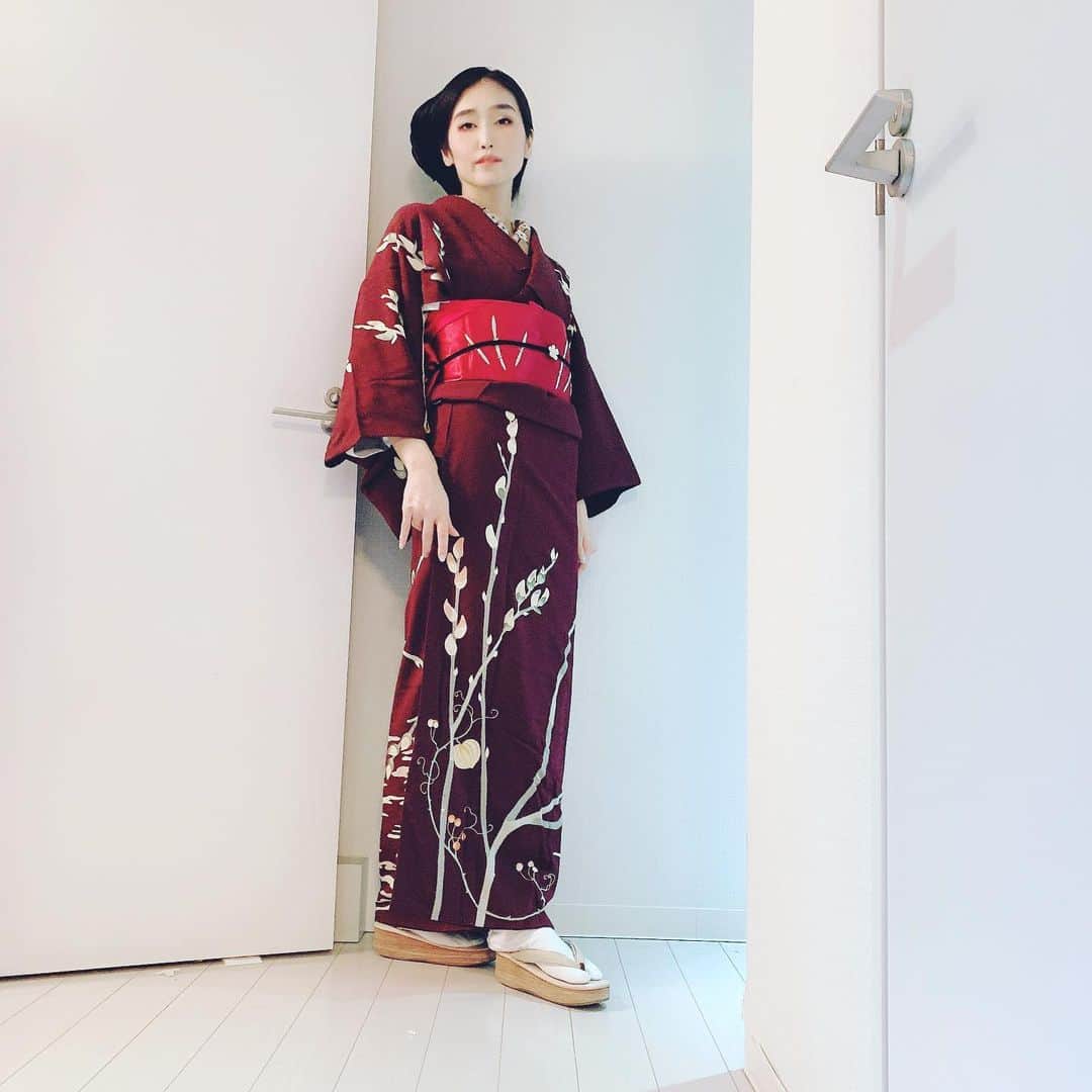 峰なゆかさんのインスタグラム写真 - (峰なゆかInstagram)「猫柳の着物にウサギの帯、梅の半襟に梅の帯留めで二月を詰め込んで通院。 #kimono #japaneseculture #kimonostyle #ootd #着物　#着物コーディネート　#今日の着物　#アンティーク着物　#通院」2月18日 13時24分 - minenayuka