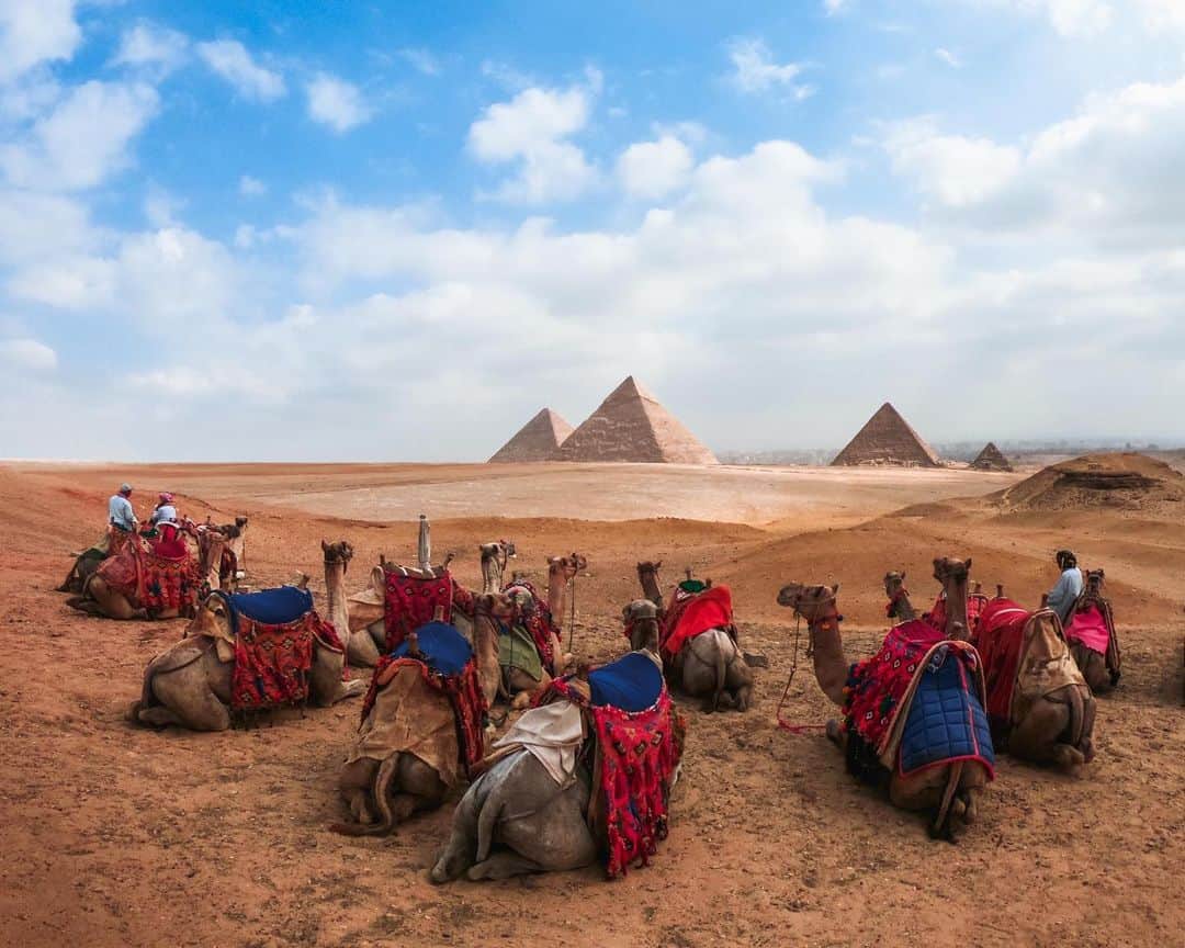 goproさんのインスタグラム写真 - (goproInstagram)「Photo of the Day: Happy hump day 🐫 @waikit_oh  #GoPro #Egypt #Pyramids #Camels #HumpDay」2月18日 5時24分 - gopro