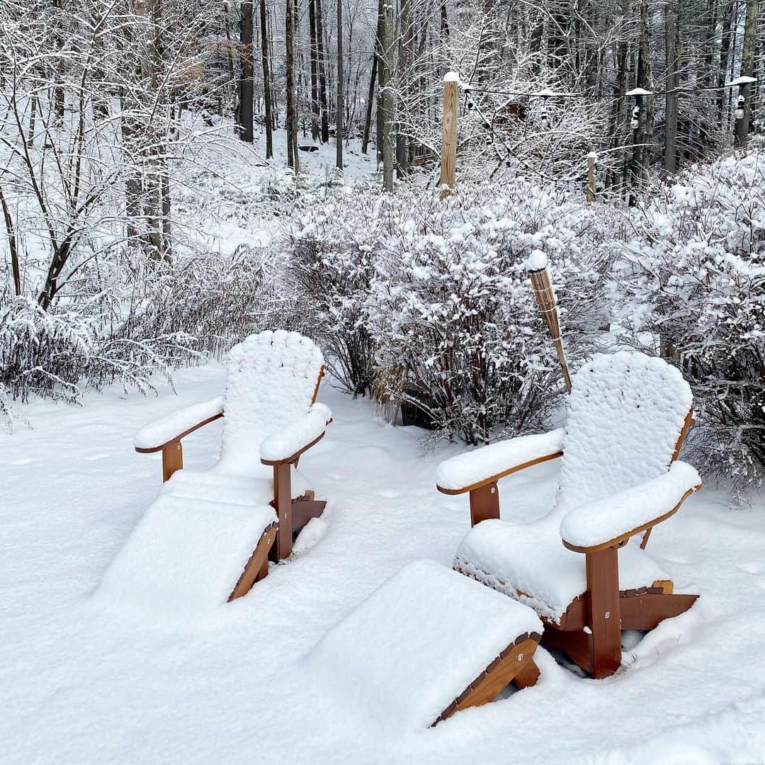 ナイジェル・バーカーさんのインスタグラム写真 - (ナイジェル・バーカーInstagram)「The homestead... it was 6 degrees Fahrenheit this morning, that’s -14 degrees Celsius so basically bloody FREEZING! But beautiful x #swipeleft for a garden tour ❄️🤍❄️」2月18日 6時42分 - nigelbarker