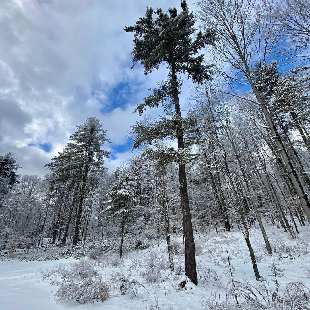 ナイジェル・バーカーさんのインスタグラム写真 - (ナイジェル・バーカーInstagram)「The homestead... it was 6 degrees Fahrenheit this morning, that’s -14 degrees Celsius so basically bloody FREEZING! But beautiful x #swipeleft for a garden tour ❄️🤍❄️」2月18日 6時42分 - nigelbarker