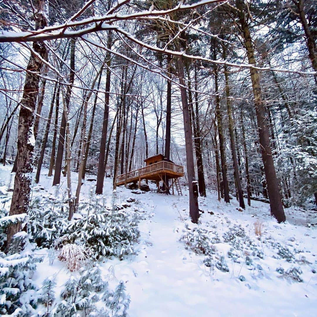 ナイジェル・バーカーさんのインスタグラム写真 - (ナイジェル・バーカーInstagram)「The homestead... it was 6 degrees Fahrenheit this morning, that’s -14 degrees Celsius so basically bloody FREEZING! But beautiful x #swipeleft for a garden tour ❄️🤍❄️」2月18日 6時42分 - nigelbarker