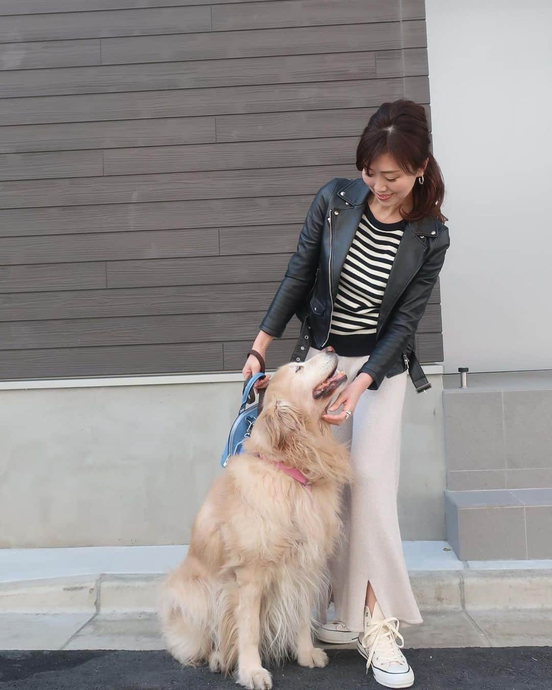 ImotoEtsuyo さんのインスタグラム写真 - (ImotoEtsuyo Instagram)「#おはようございます ・ 昨日投稿した #セットアップ の　パンツ。 ・ 裾部分、後ろのスリットを 前にして着てみました。 ・ どちらを前にして着てもオッケーみたい。 ・ ・ #コンバース を 合わせてみました。 ・ #愛犬 ココアは眩しいのかな^^; 目が… カワイイ♡ ・ ・ #ootd  #pants ⇒ @myle__official  #ボーダートップス ⇒ @lialapg  #ライダース ⇒ @abahouse_online_ladies  #bag ⇒ @louisvuitton  #shoes ⇒ @converse_jp   ・ ・ #ゴールデンレトリバー  #goldenretriever  #愛犬との時間  #大型犬のいる生活  #大型犬  #癒し #かわいい  #smile  #love  #散歩 #大人カジュアル  #大人可愛い  #fashion  #style  #cordinate  #outfit  #シンプルコーデ  #コーデ  #きょコ  #ニットパンツ」2月18日 6時52分 - bisuhada