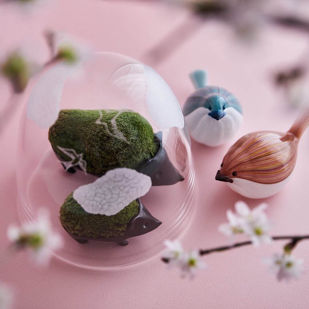 雨晴 / AMAHARE 雨晴（あまはれ）さんのインスタグラム写真 - (雨晴 / AMAHARE 雨晴（あまはれ）Instagram)「・ 小林健二（品品）× 津坂陽介 + 久保裕子（日の出ガラス工芸社） × 雨晴  「春をさがそう」    こんな時だからこそ春をさがそう こんな時だからこそ春を育てよう こんな時だからこそ春を愉しもう   小林健二さんの景色盆栽と津坂陽介さん、久保裕子さんのガラス作品と共に おだやかな気持ちで過ごす春の時間をご提案いたします。   会期：2月26日（金）-3月8日（月）  ※会期中も白金台雨晴は木、金、土、日のみ営業です  ◇作家在廊について  この状況を受けまして作家の皆様の在廊は控えさせて頂きます。  ◇オンライン販売について   2月26日（金）より品品の景色盆栽の一部はOnline Shop 雨晴食堂 @amahare_shokudo  にてお求め頂くことができます。  https://shop.amahare.jp/  日の出ガラス工芸社の作品は会期中、もしくは会期終了後にオンラインショップに掲載いたします。     ◇久保裕子さんの池文鎮、石文鎮、水の箸置きにつきまして   大変人気がある作品となりますので文鎮はお一人様、2点まで、 水の箸置きはお一人様5点までとさせて頂きます旨ご了承くださいませ。   #春をさがそう #桜  #品品 @sinajina_info  #小林健二 #景色盆栽  #日の出ガラス工芸社 @hinodeglass  #津坂陽介  #久保裕子 #ガラス #福鳥 #レースガラス #石文鎮 #池文鎮  #雨晴 #amahare  #雨晴食堂 #amahareshokudo  #工芸 #japanesecraft  #うつわ  #flowervase  #object  #くらし #lifestyle  #白金台 #shirokanedai  #東京 #tokyo #japan  #雨の日も晴れの日も  Photo Yuka Yanazume @yukayanazume」2月18日 7時00分 - amahare
