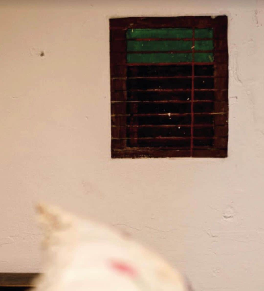 フリーダ・カーロ記念館さんのインスタグラム写真 - (フリーダ・カーロ記念館Instagram)「¿Sabes en qué pared de la #CasaAzul se encuentra esta ventanita pintada por Frida Kahlo?  ¡Te leemos! #DetallesCasaAzul」2月18日 7時30分 - museofridakahlo