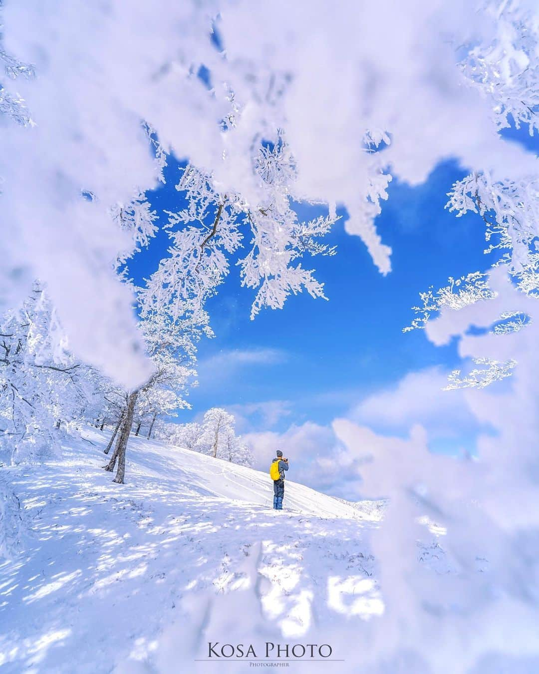 コサさんのインスタグラム写真 - (コサInstagram)「Winter Again 春が来たと思ったらまた冬に逆戻り…🥶 でも週末はまた気温が高いとか😩 体調に気をつけたいですね🙋‍♂️ . Location:奈良 Nara / Japan🇯🇵 Date:2021年1月 . #霧氷 #明神平 #雪景色 #乗り越えようnippon #ニコン #写真は私の原動力 #arrowsあなたが夢中な世界 #Japan_Daytime_View #picture_to_keep #sorakataphoto #tokyocameraclub #team_jp_ #photo_jpn #ptk_japan #bestjapanpics #Lovers_Nippon #LBJ_Legend #special_spot_legend #s_shot #広がり同盟メンバー #YourShotPhotographer #light_nikon #nipponpic_member #japan_of_insta #bestphoto_japan #Rox_Captures #1x_japan #IGersJP #jgrv_member #ap_japan_」2月18日 7時35分 - kosa_photo