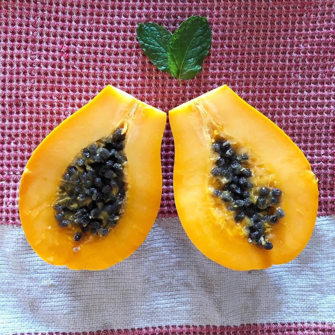 Honolulu Myohoji Missionのインスタグラム：「🌈 Local baby papaya 🥳  ————————- 🤲🏻 Dr. Yukari’s Zoom Lounge is here for you!  - Consultations will be available to discuss your challenges and worries faced in daily life involving family, relationships, anxiety, stress, grief & loss.   - The first 2 sessions are free of charge.  Contact us at the address below for any questions or to reserve your 60-minute zoom session.  Email: info@honolulumyohoji.org  - Guided by the hope of St. Nichiren, we continue to work towards a peaceful society.  Honolulu Myohoji Mission collaborates with Psychologist Dr. Yukari Kunisue, a trained and experienced therapeutic life coach, to offer a safe online space: Dr. Yukari’s Zoom Listening Lounge  - Stories are twice a week on our blog, Facebook and Instagram.  📺  Honolulu Myohoji YouTube channel is available now!  On our YouTube channel, you can see - Rev. Yamamura’s talk, - Past events of Honolulu Myohoji, and - Some nice Hawaii weather from Honolulu Myohoji.  ————————- * * * * #ハワイ #ハワイ好きな人と繋がりたい  #ハワイだいすき #ハワイ好き #ハワイに恋して #ハワイ大好き #ハワイ生活 #ハワイ行きたい #ハワイ暮らし #オアフ島 #ホノルル妙法寺 #思い出　#honolulumyohoji #honolulumyohojimission #御朱印女子 #開運 #穴場 #パワースポット #hawaii #hawaiilife #hawaiian #luckywelivehawaii #hawaiiliving #hawaiistyle #hawaiivacation #healing #meditation #transcendence」