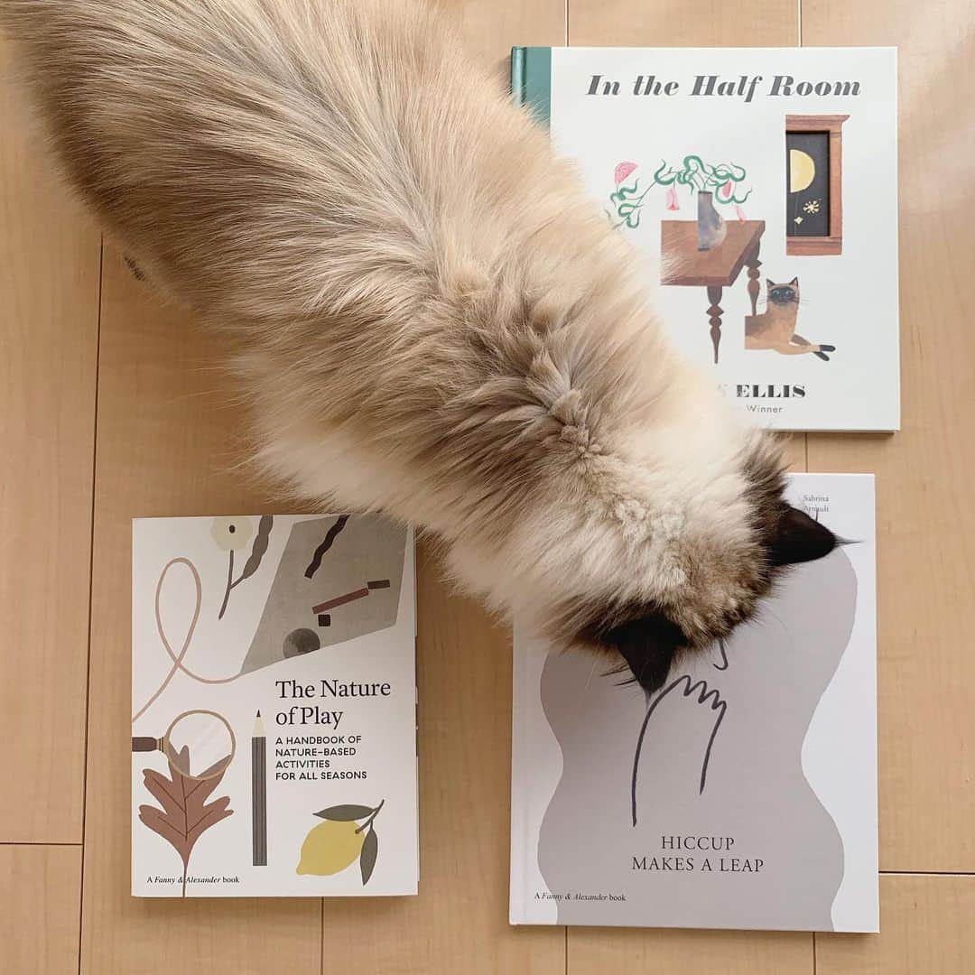 plumeさんのインスタグラム写真 - (plumeInstagram)「お気に入りの絵本たち🍂🍋🐈👻📚 と映り込みたい人👧🏼📸  . . . . 🏷 @fannyandalexander  @carsonellis  #プリュムのいる生活 #猫のいる暮らし  #ヒマラヤン  #赤ちゃんと猫  #もふもふ#ヒマラニャンズ  #猫  #ねこ  #ペコねこ部#絵本#本#楽天ルーム#ゴロゴロ#へそ天#アート#인테리어 #fannyandalexander#carsonellis #art#books#fluffycat#癒し#🐈 #고양이  #ilovecats  #himalayancat  #catsofinstagram  #bestmeow#weeklyfluff」2月18日 8時50分 - plumestagram