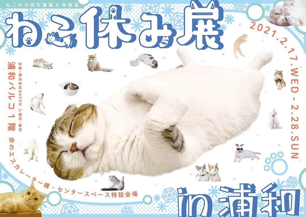 のインスタグラム：「昨日17日から、ねこ休み展in浦和が開催してますー！入場料が無料みたいなのでお近くの方は感染予防をしてお越しいただければ幸いです🐈  また、TODAYS GALLERY STUDIO.でもねこ休み展 冬 2021開催中です！東京の方はこちらに是非🌟  #ねこ休み展 #ねこ休み展in浦和 #ねこ休み展冬2021 #ねこ #猫 #cat」