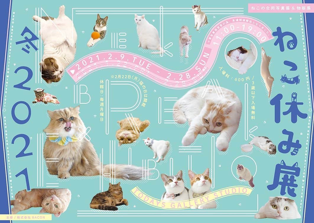 まっぷーちんさんのインスタグラム写真 - (まっぷーちんInstagram)「昨日17日から、ねこ休み展in浦和が開催してますー！入場料が無料みたいなのでお近くの方は感染予防をしてお越しいただければ幸いです🐈  また、TODAYS GALLERY STUDIO.でもねこ休み展 冬 2021開催中です！東京の方はこちらに是非🌟  #ねこ休み展 #ねこ休み展in浦和 #ねこ休み展冬2021 #ねこ #猫 #cat」2月18日 9時27分 - map_u_chin