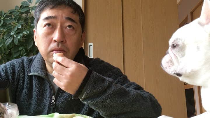 ちえぶぅたのインスタグラム：「おじさんたちが小さいパンを仲良く分け合うだけの動画。」
