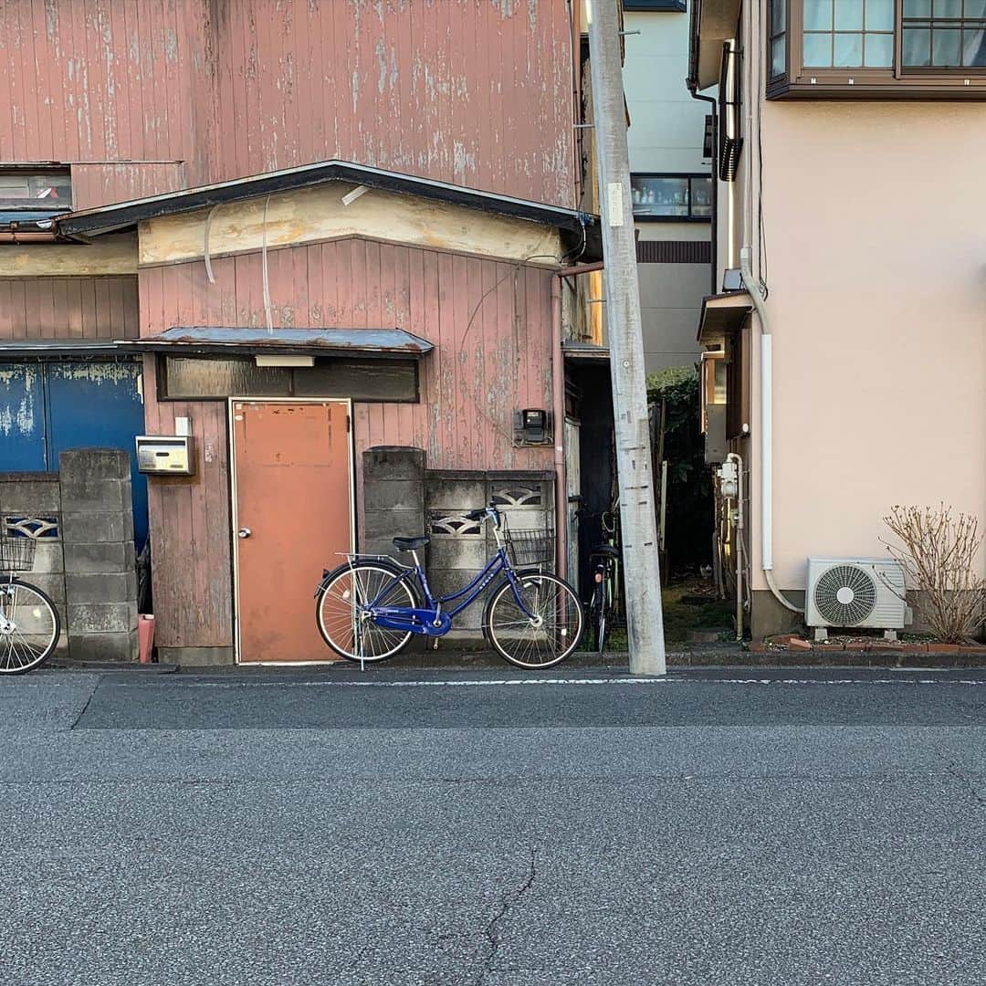 Kachimo Yoshimatsuのインスタグラム：「この写真のどこかにイカスミがいます。 よく見て探して下さい。  Somewhere in this photo is IKASUMI.  Please find it.  #うちの猫ら #ikasumi #猫 #ねこ #cat #ネコ #catstagram #ネコ部 http://kachimo.exblog.jp」
