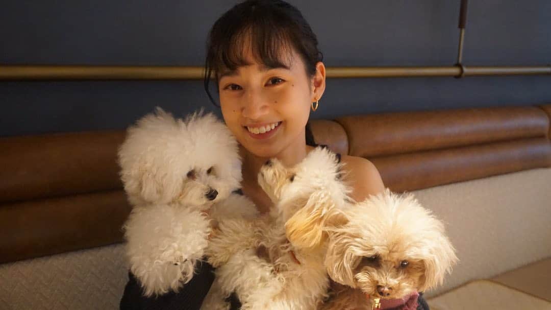 高嶋香帆のインスタグラム：「まゆちゃんと恒例の犬会🐶  #キンプトン新宿東京 へ。 何とレストラン内ペットおっけーな都内では珍しい、というか他にないのでは？というホテル🥺💓  雨の日でもこうして犬たちとお出かけできる場所があるのは嬉しいなぁ💓  まゆちゃんにお誕生日のお祝いもして頂きましたっ いつもありがとう🥺」
