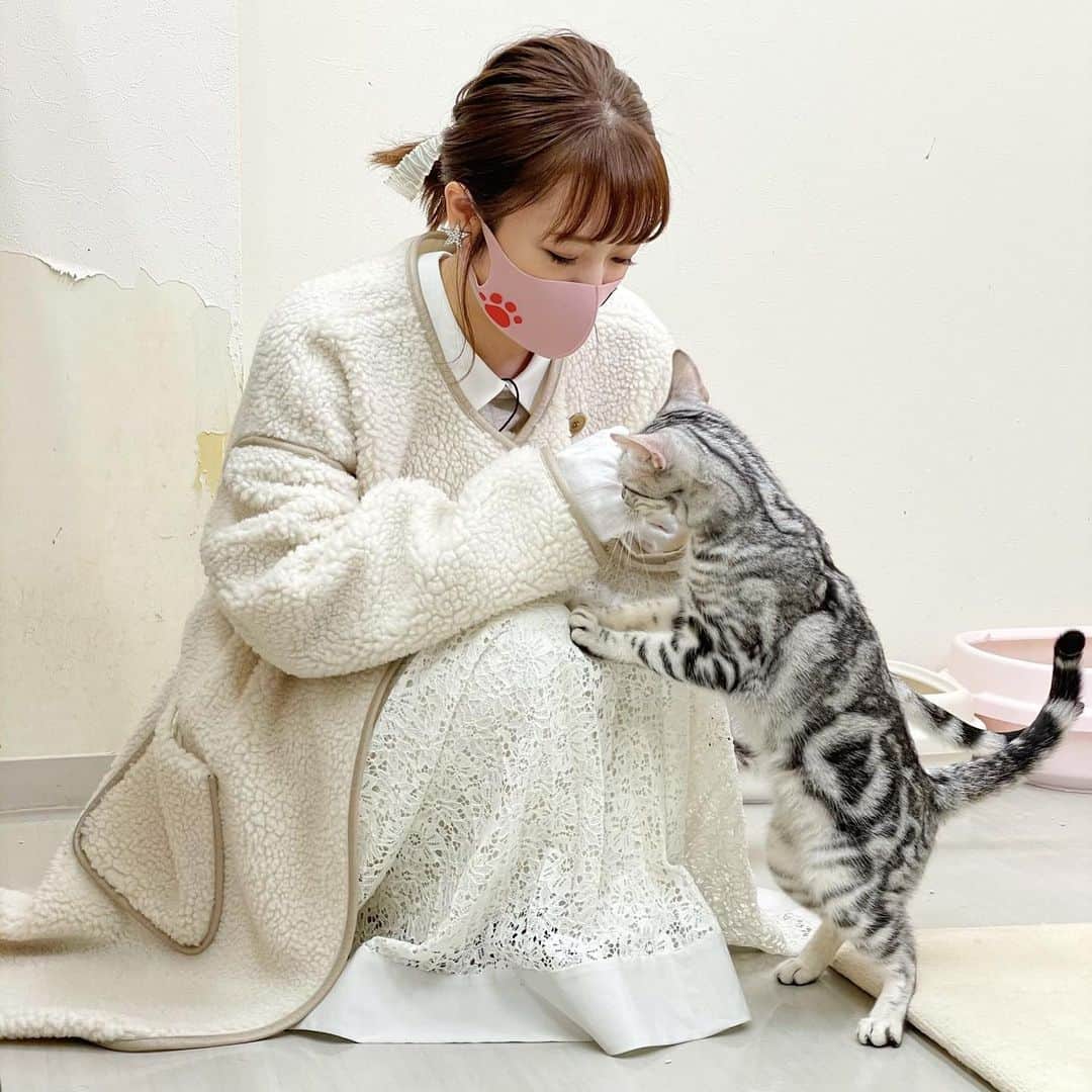 高橋みなみさんのインスタグラム写真 - (高橋みなみInstagram)「BS -TBS「ねこ自慢」 大好きな猫様に囲まれて最高に癒されました🤤✨✨ 皆んな可愛かったなー！  #ねこ自慢 #bstbs  #tv #cat  衣装👗 トップス・スカート @jillstuart.jp #fashion」2月18日 10時24分 - taka37_chan