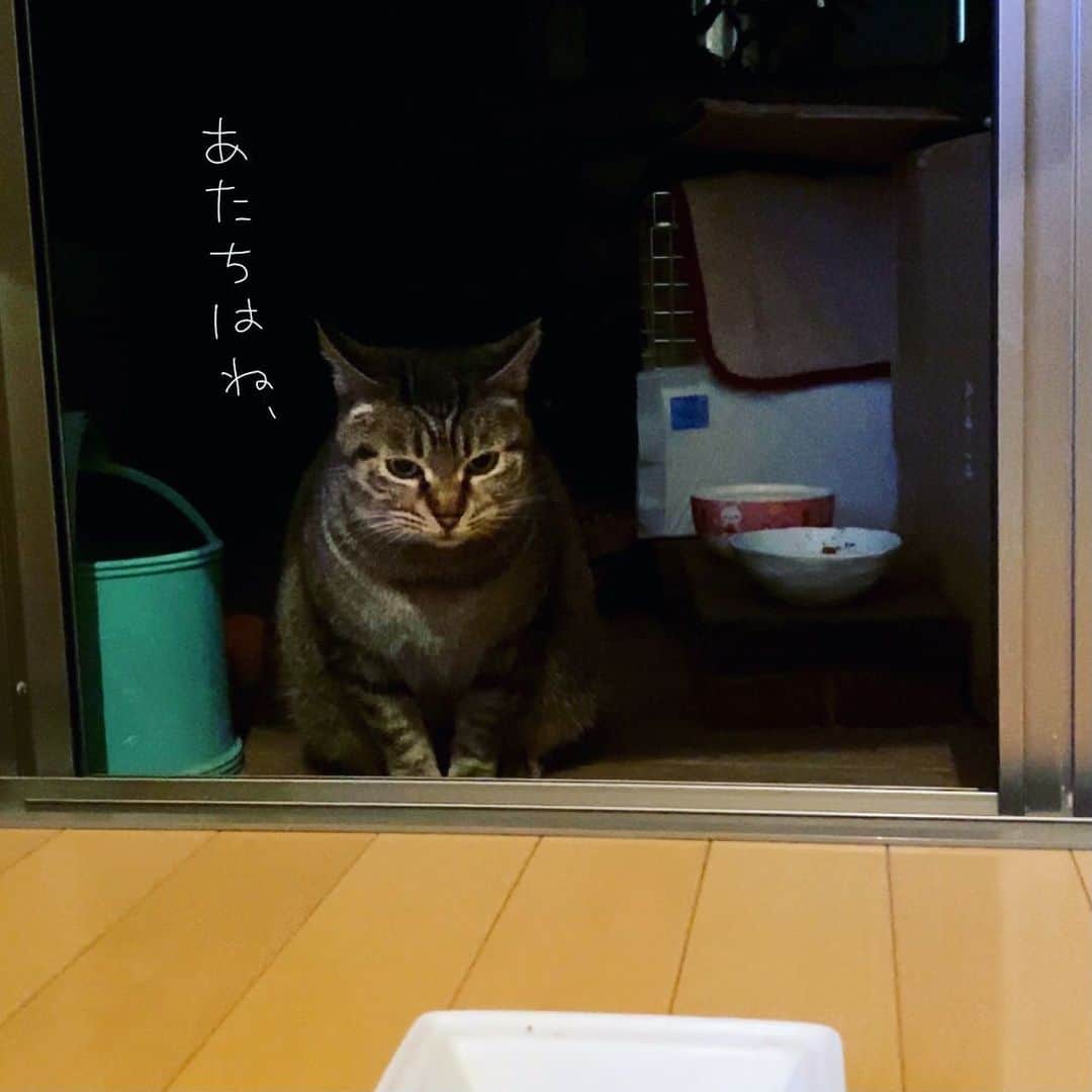 ゆたこのインスタグラム