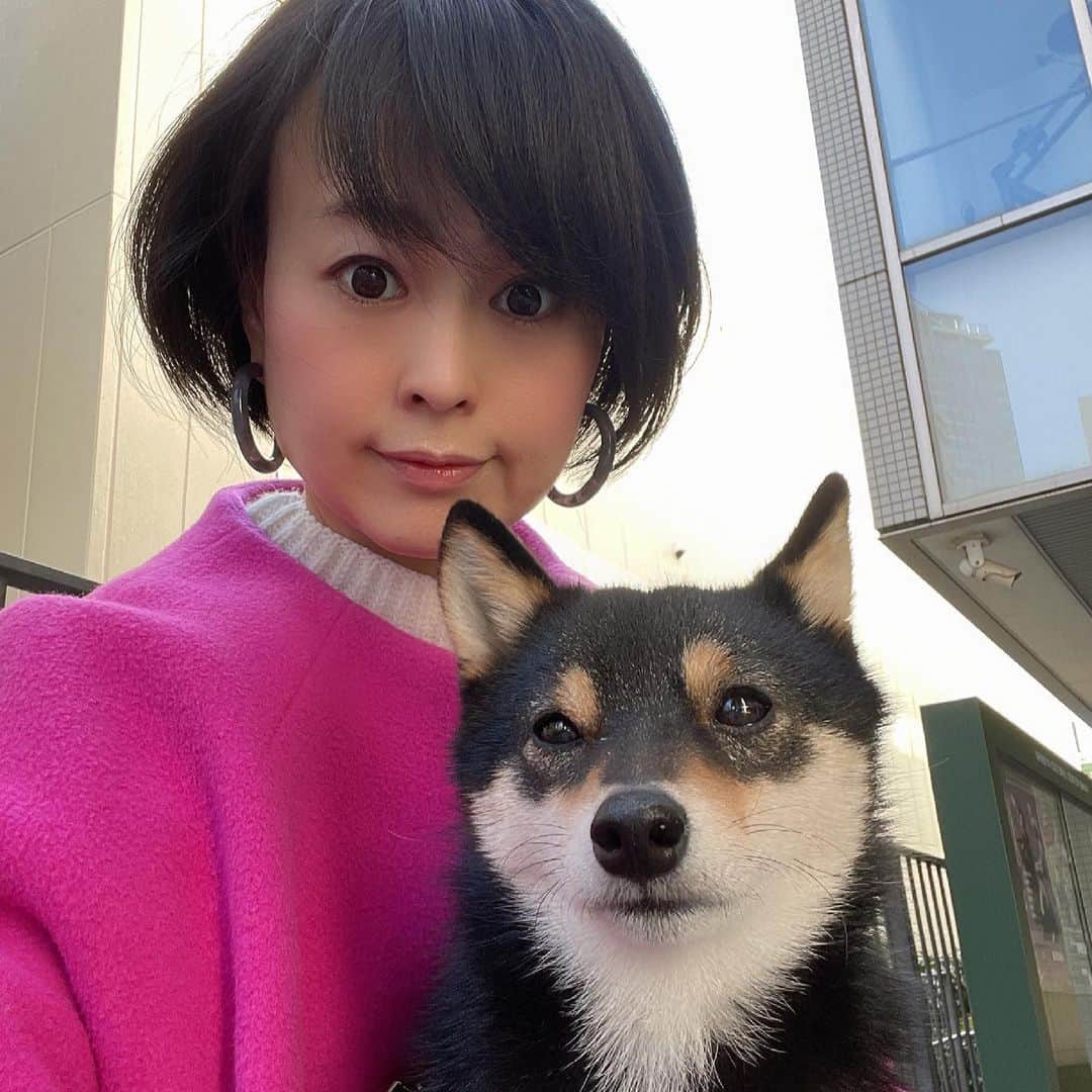 岩瀬玲のインスタグラム：「寒いけれどいいお天気でお散歩日和  昨日一昨日は出張でゆっくりお散歩できなかったけど のんびりお散歩行けるだけで幸せだな〜と思います  溜まってた仕事を今日は片付けます❗️  #お散歩日和 #出張いくと #たまる仕事」