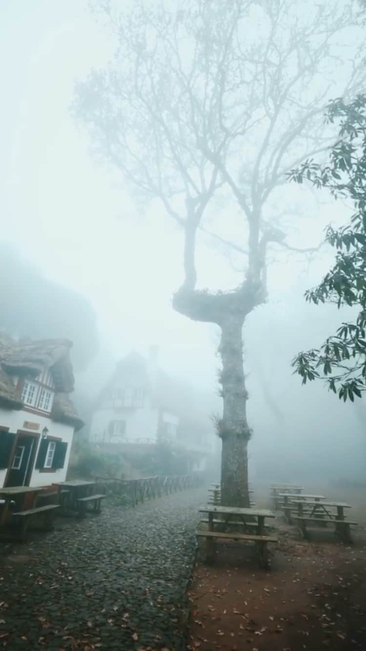 instagoodのインスタグラム：「@lotter_live Moody days in Madeira🌴」