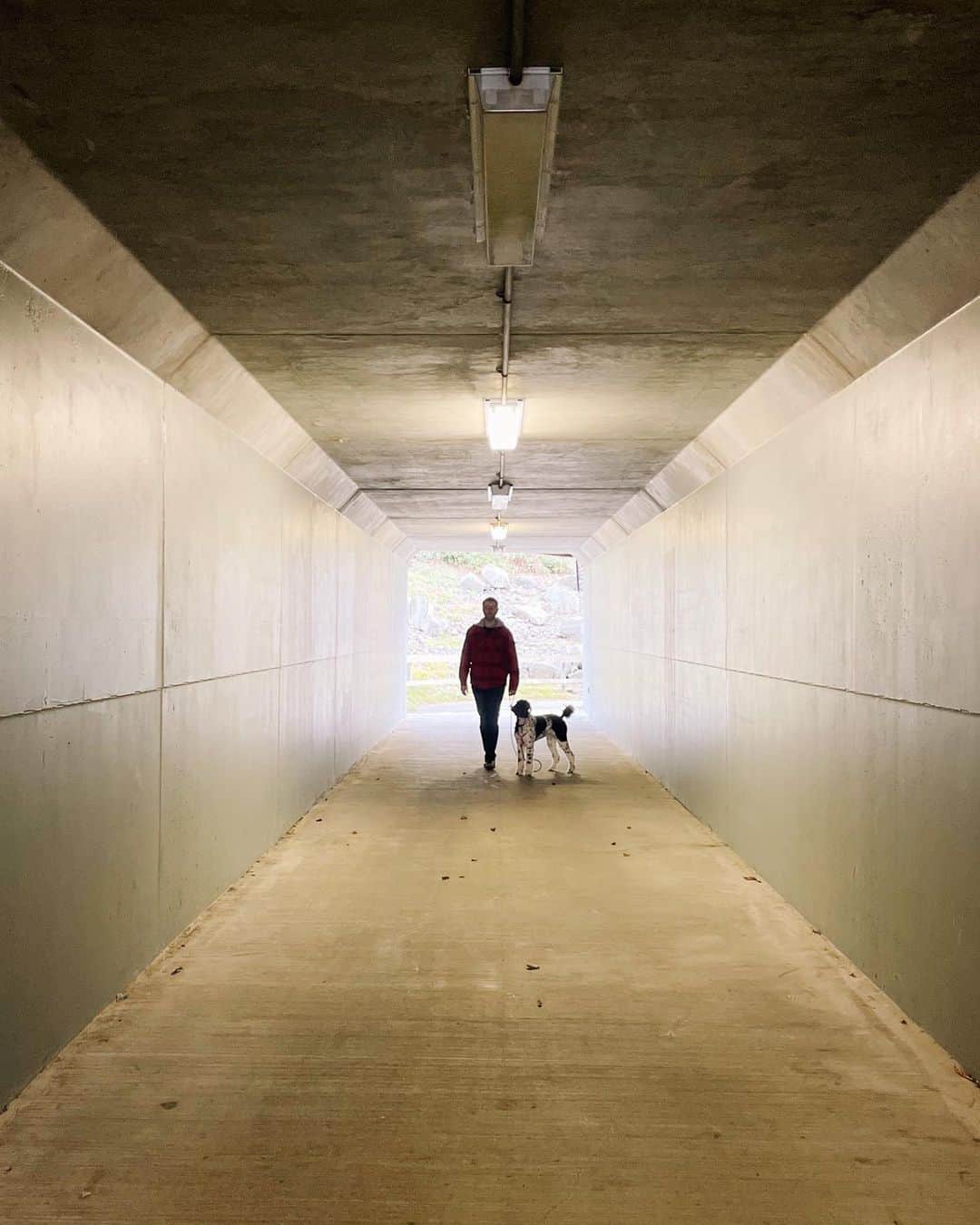 Robin May Flemingのインスタグラム：「Portrait of a man and his poodle, 42nd birthday edition. We are very, very full of cake.」