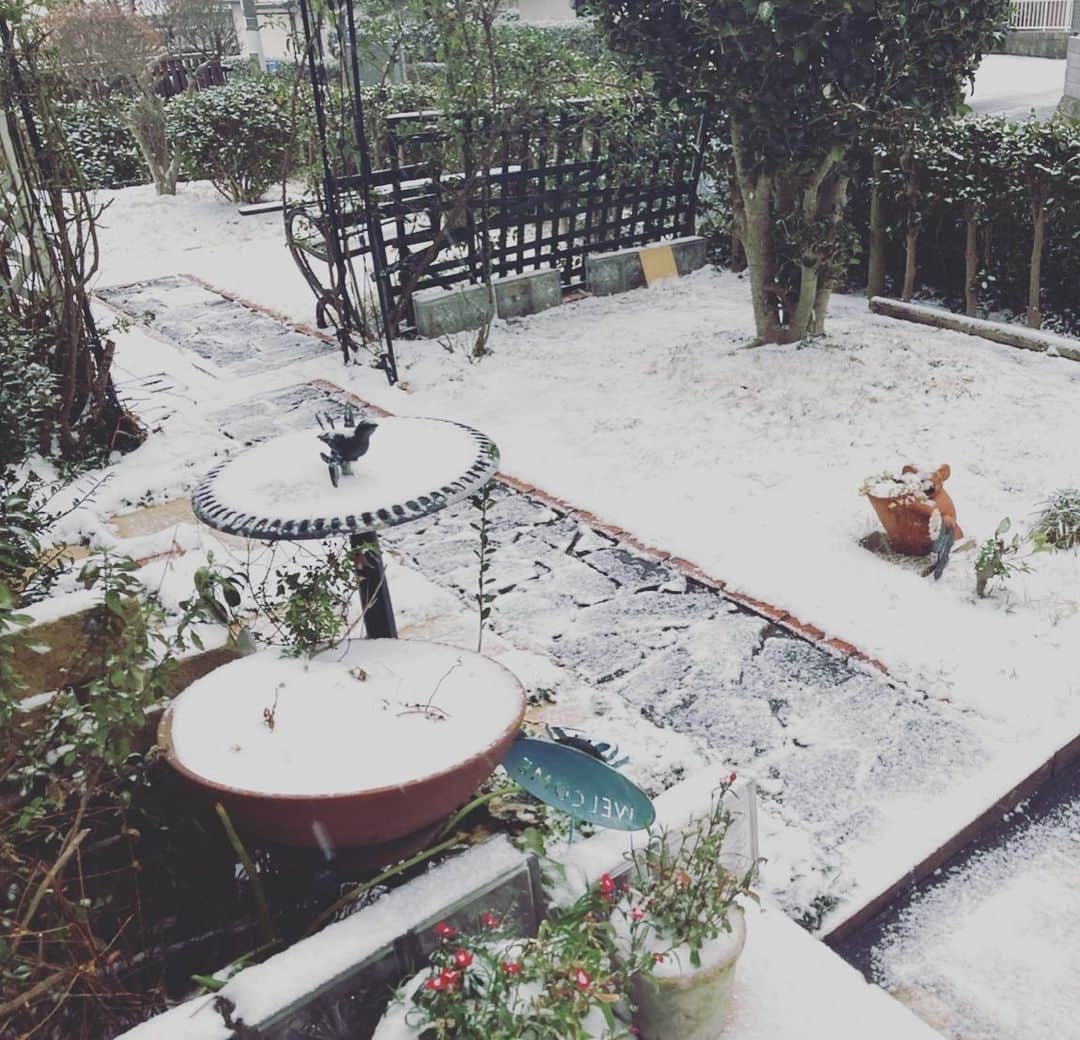 木原さとみさんのインスタグラム写真 - (木原さとみInstagram)「福岡の実家の今朝。 #雪　今年は雪が多いね。 東京は、全然積もらない。」2月18日 11時21分 - satop0704