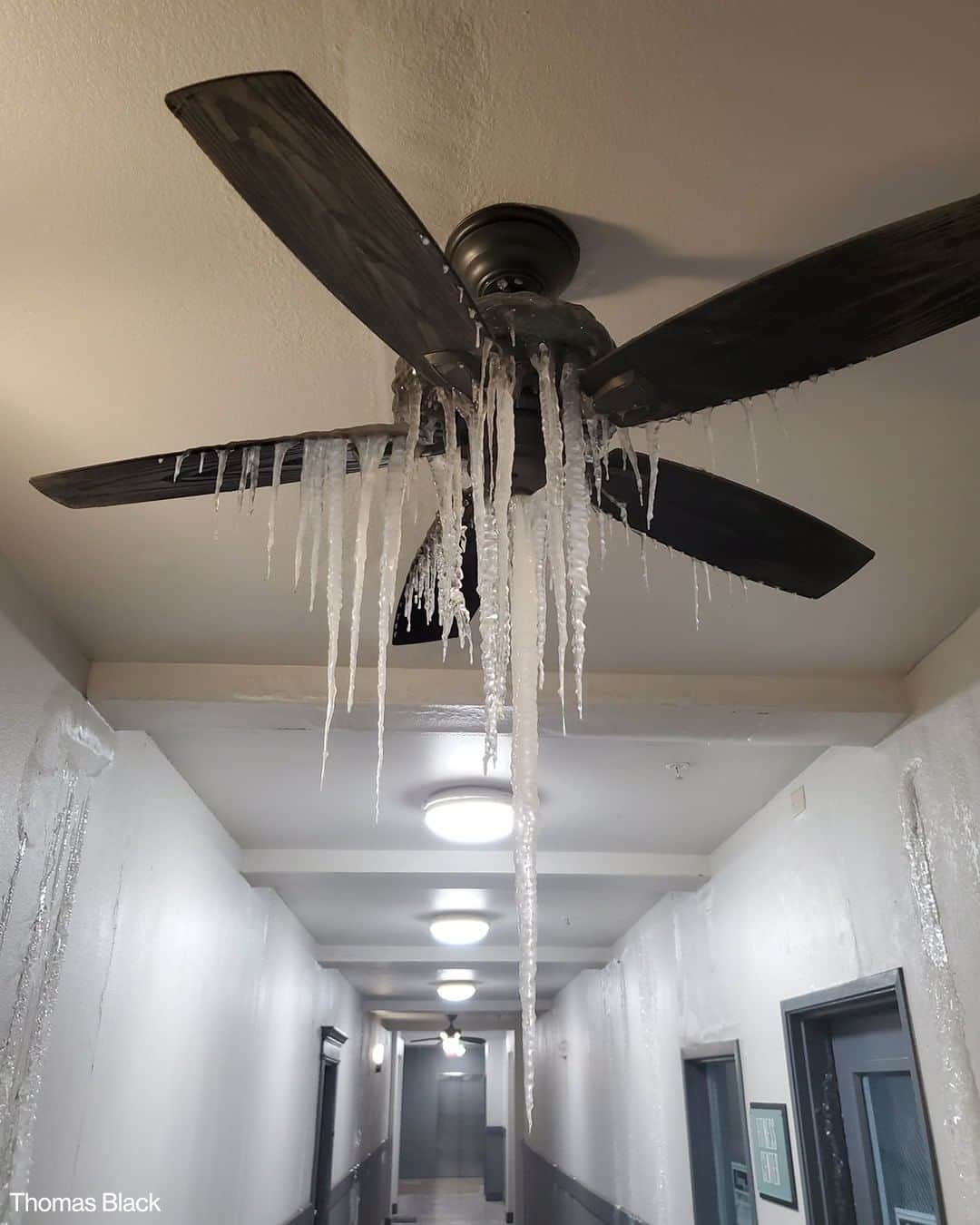 ABC Newsさんのインスタグラム写真 - (ABC NewsInstagram)「Icicles hang from a ceiling fan inside an apartment building in Dallas as millions of homes and businesses across Texas go without power during dangerous winter storm.」2月18日 11時31分 - abcnews