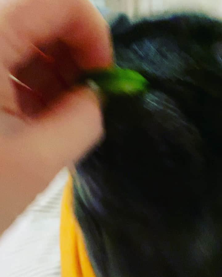 のインスタグラム：「Persian Cucumbers are Archie’s new snack of choice. He’s a very loud eater.」