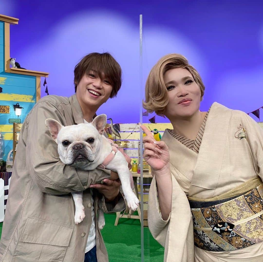 テレビ東京「どうぶつピース‼︎」さんのインスタグラム写真 - (テレビ東京「どうぶつピース‼︎」Instagram)「2月１８日夜6時25分からはどうぶつピース!!✨ 髙木雄也さんとIKKOさんがスタジオに遊びに来てくれました！ 髙木さんはなんと３回目のご出演✨   「スマホのペット動画見せて下さい」 みなさんにペットのご自慢の動画を見せてもらう大人気企画📱 今夜も飼い主さんが激写した、激カワ動画が大連発🐶🐱 思わず笑っちゃう激カワなクセや珍行動が満載！ さらにはIKKOさんのペット動画も！？   「世界の衝撃映像２０連発」 世界から届いた思わず目を丸くするような衝撃映像をドドンと大公開✨ ○○ですってんころりん！ほっこりワンちゃん！ 摩訶不思議！ケージから消える猫！？ サイが車に猛突進！衝撃の結末とは！？ 髙木さんのビックリ顔にIKKOさん胸キュン😍！？お見逃しなく！   「幻の動物 大捜索 IN THE WORLD」 見たら幸せになる！？幻のヒョウを大捜索🐆 今回の捜索の舞台はアフリカ・ザンジバル島！ 広大な大自然の中での捜索に難航… しかし、わずかな痕跡を頼りに絶滅動物ハンターが迫っていく！ 激レア映像の数々にスタジオ大興奮✨ 果たして幻のヒョウと遭遇できるのか！？  番組ではペットの動画と写真の投稿をお待ちしております。 皆さん、自慢のペットをテレビデビューさせちゃいましょう📺   詳しくは番組ホームページをcheck✔ #どうぶつピース #ぴーす君 #テレビ東京 #tvtokyo #オードリー #若林正恭 #春日俊彰 #大政絢 #髙木雄也 #IKKO #犬 #dog #わんこ #猫 #cat #ニャンコ #動物 #どうぶつ #animal #赤ちゃん #かわいい #instadog #犬のいる暮らし #動物好きな人と繋がりたい」2月18日 12時05分 - doubutsupeace